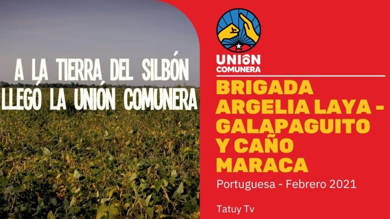 Brigada Argelia Laya – Guanarito, Consejo Campesino Galapaguito – Tatuy Tv