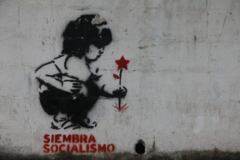 El SOCIALISMO SE CULTIVA